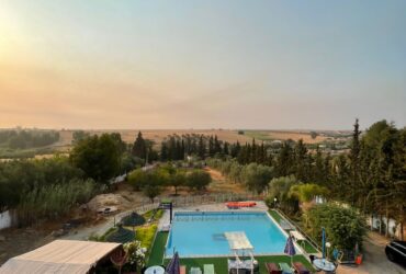 Real estate farms, apartments, villas, for sale in Morocco